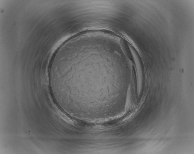 X0000075900787200609151410