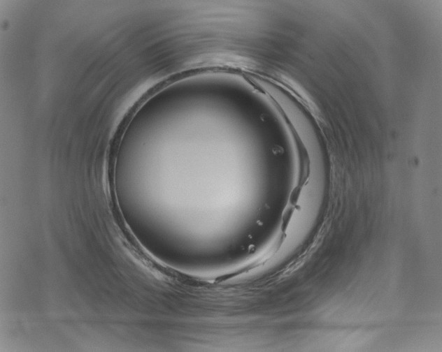 X0000075900788200609151410