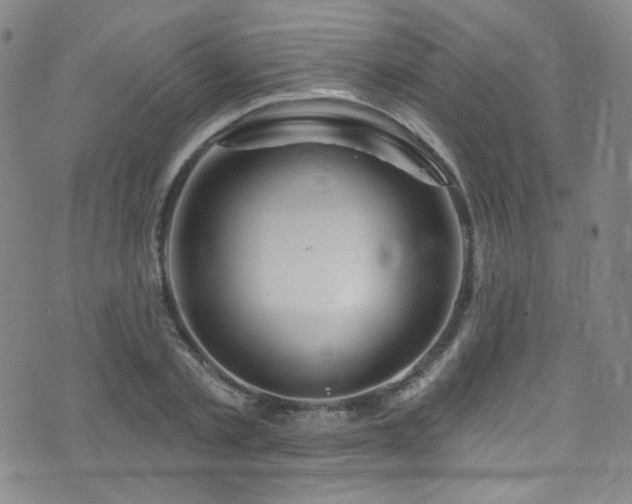 X0000075900789200609151410