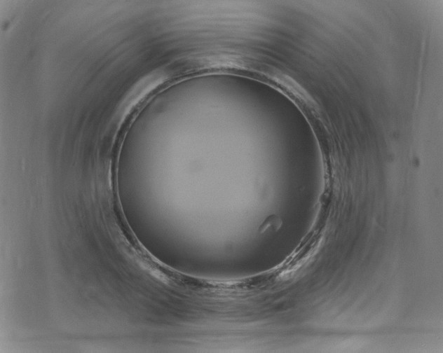 X0000075900790200609151410