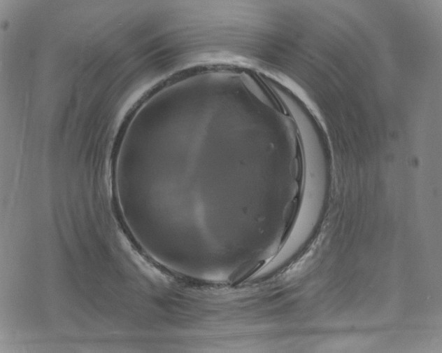 X0000075900791200609151410