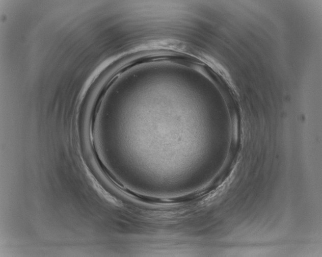 X0000075900792200609151410