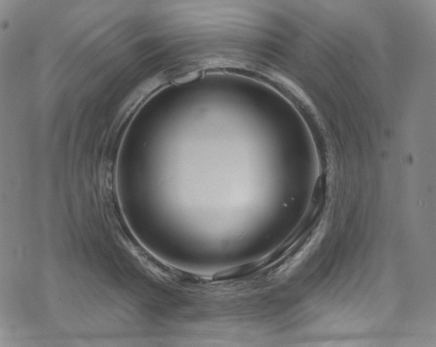 X0000075900793200609151410