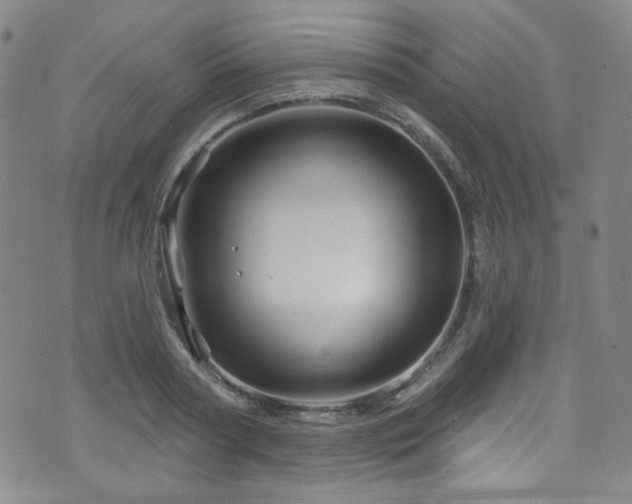 X0000075900794200609151410