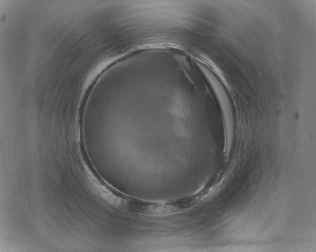 X0000075900795200609151410