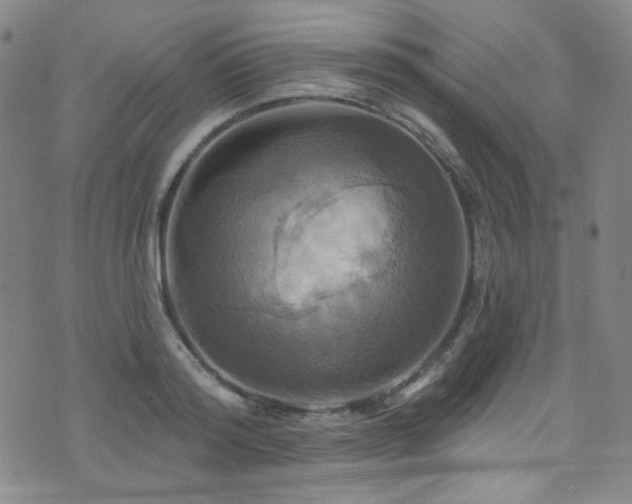 X0000075900796200609151410