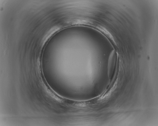 X0000075900798200609151410