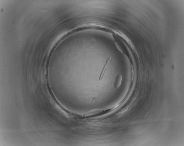 X0000075900799200609151410