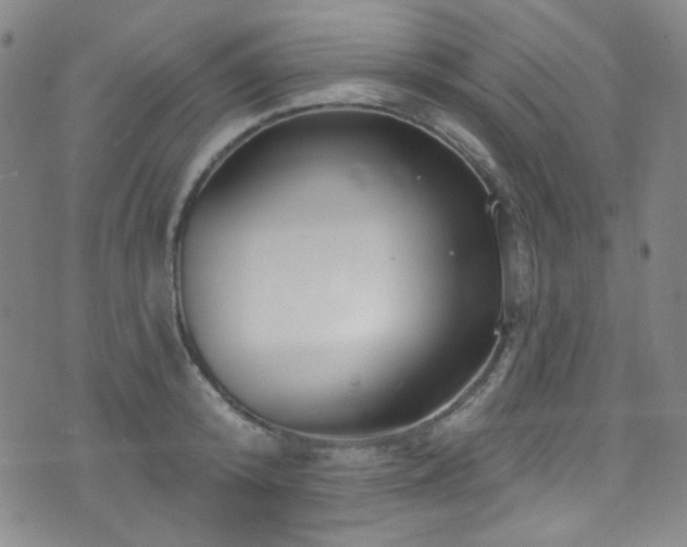 X0000075900800200609151410