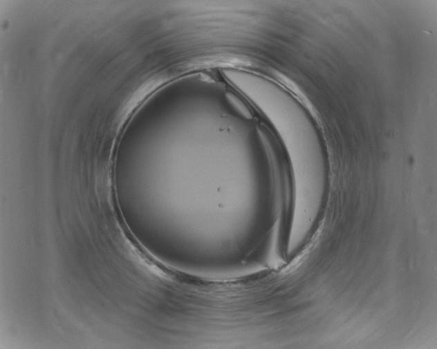 X0000075900802200609151410