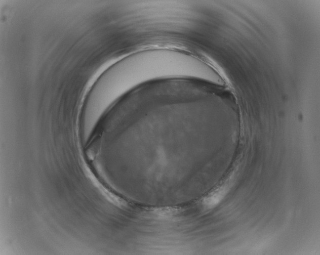 X0000075900803200609151410