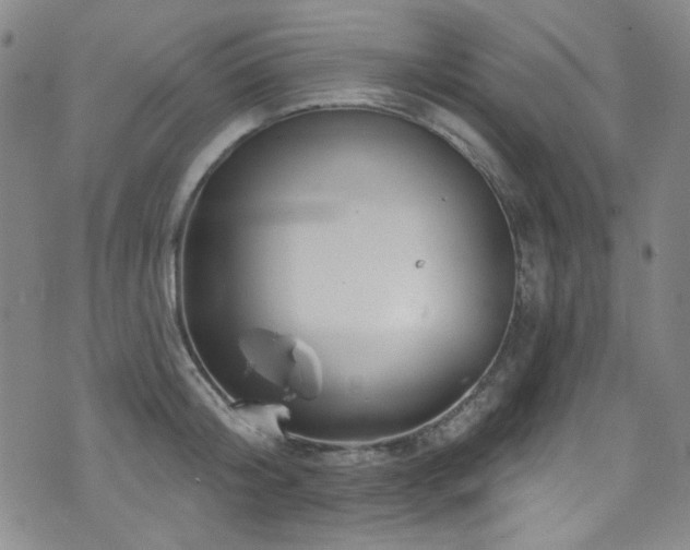 X0000075900804200609151410