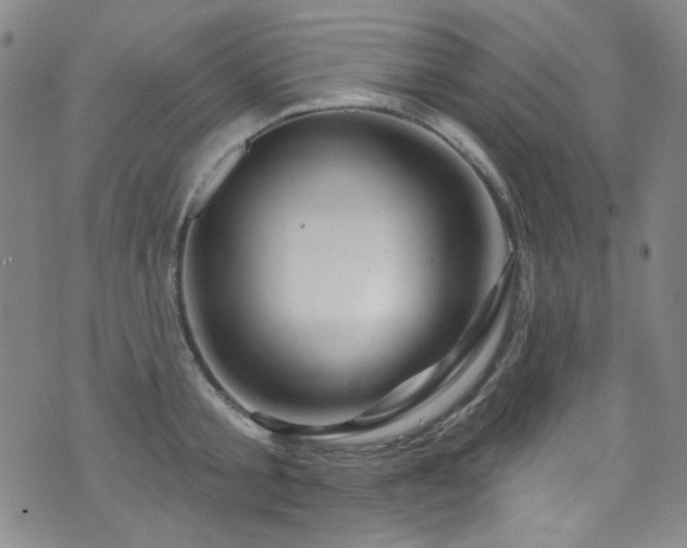 X0000075900805200609151410