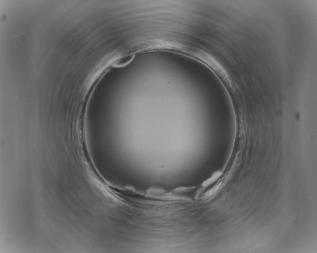 X0000075900806200609151410