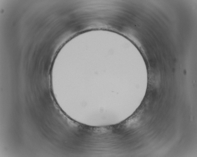 X0000075900807200609151410