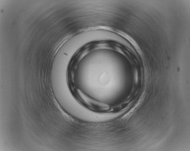 X0000075900809200609151410