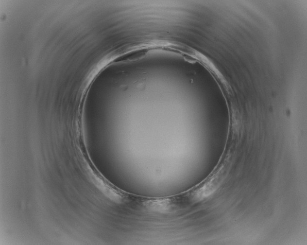 X0000075900810200609151410