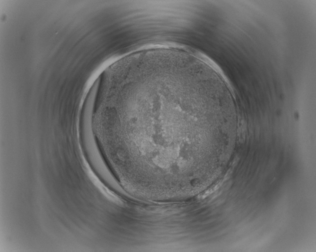 X0000075900811200609151410