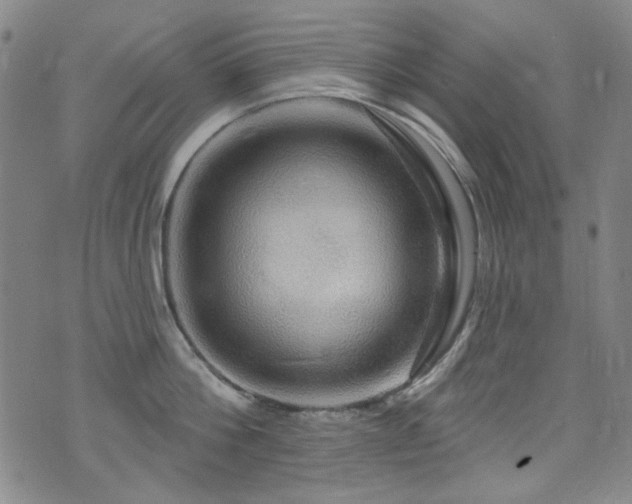 X0000075900812200609151410