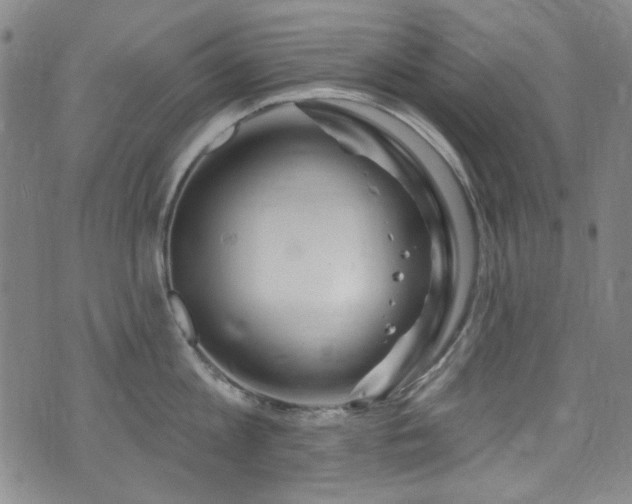 X0000075900813200609151410