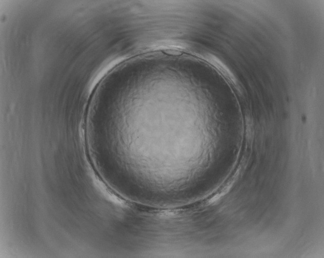 X0000075900814200609151410