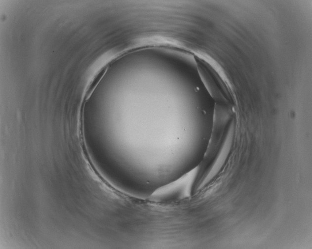 X0000075900815200609151410