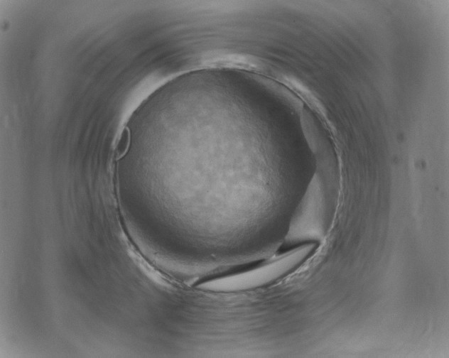 X0000075900816200609151410