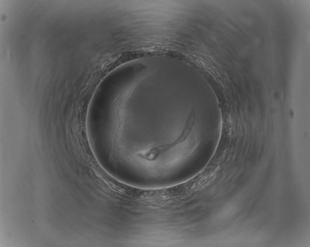 X0000075900817200609151409