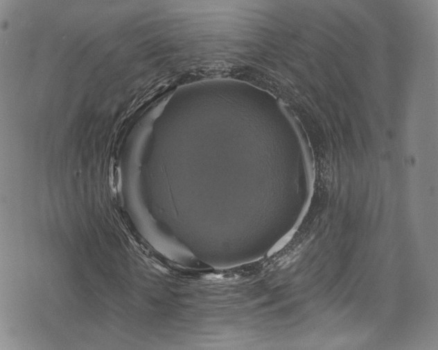 X0000075900818200609151409