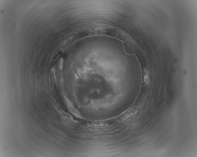 X0000075900819200609151409