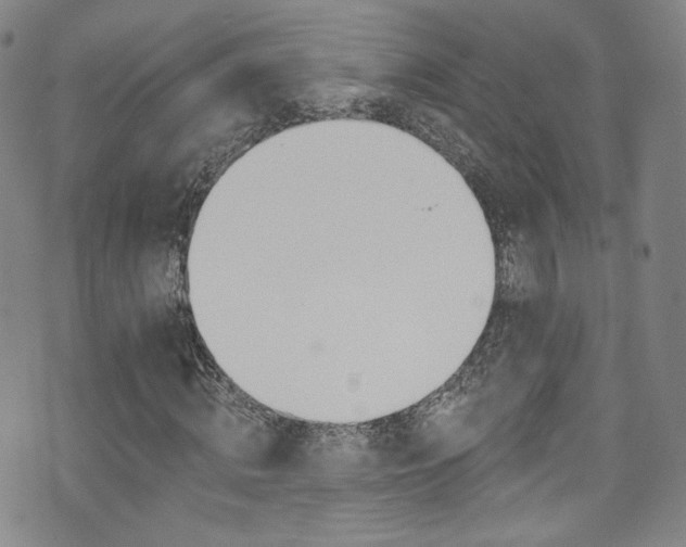 X0000075900820200609151409