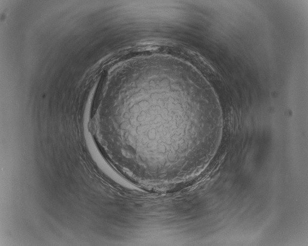 X0000075900821200609151409