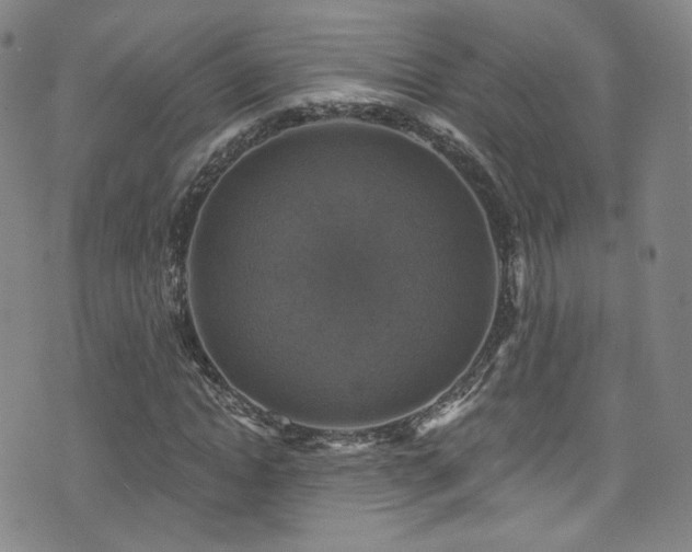 X0000075900822200609151409