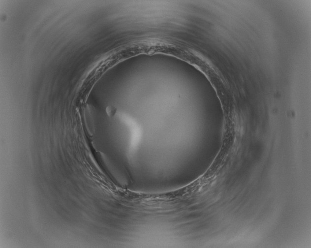 X0000075900823200609151409