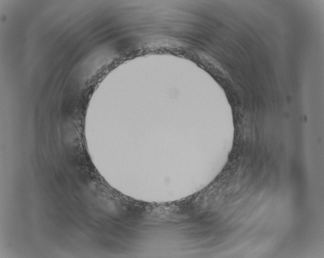 X0000075900824200609151409