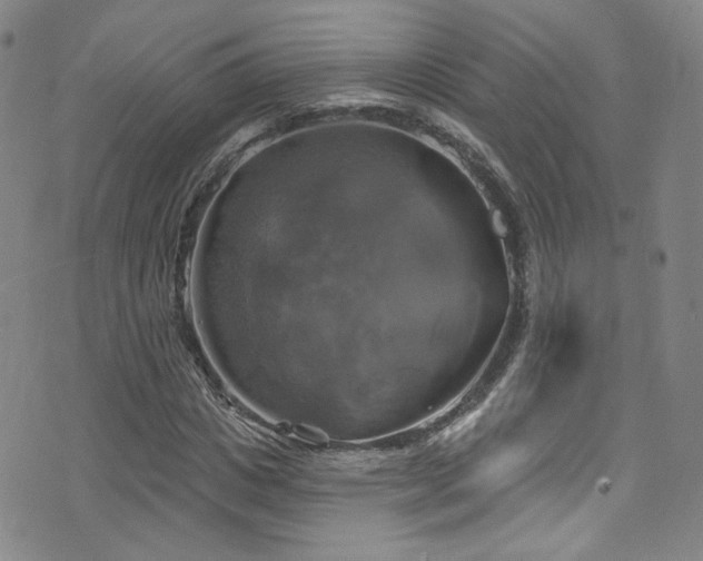 X0000075900825200609151409