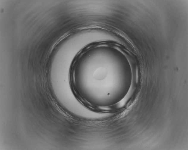 X0000075900826200609151409