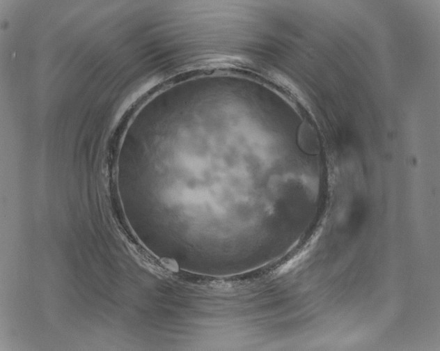 X0000075900827200609151409