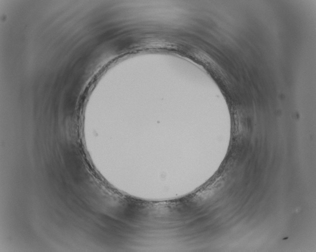 X0000075900828200609151409