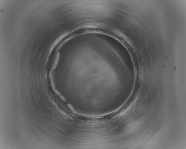 X0000075900829200609151409