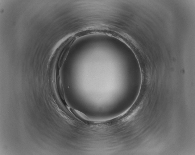 X0000075900830200609151409