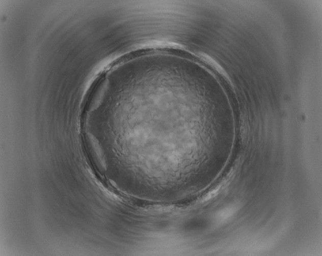 X0000075900831200609151409