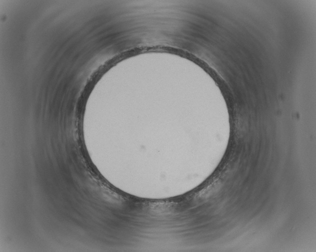 X0000075900832200609151409