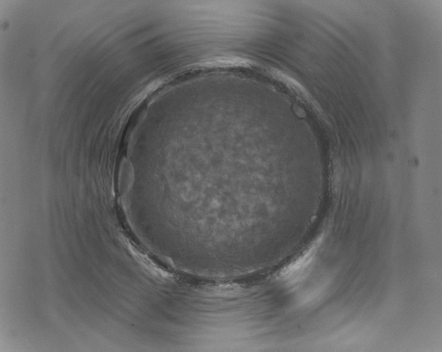 X0000075900833200609151409