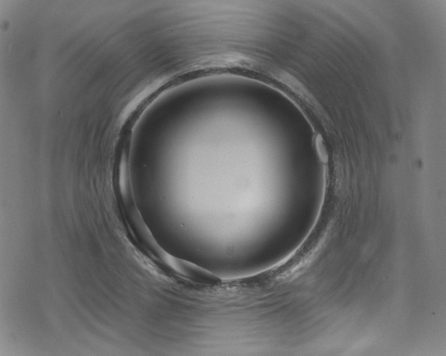 X0000075900834200609151409