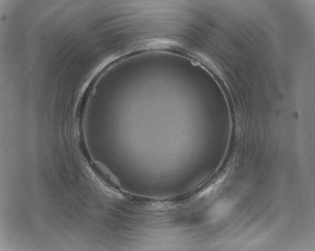 X0000075900835200609151409