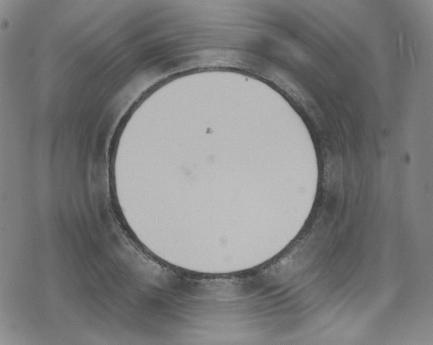 X0000075900836200609151409