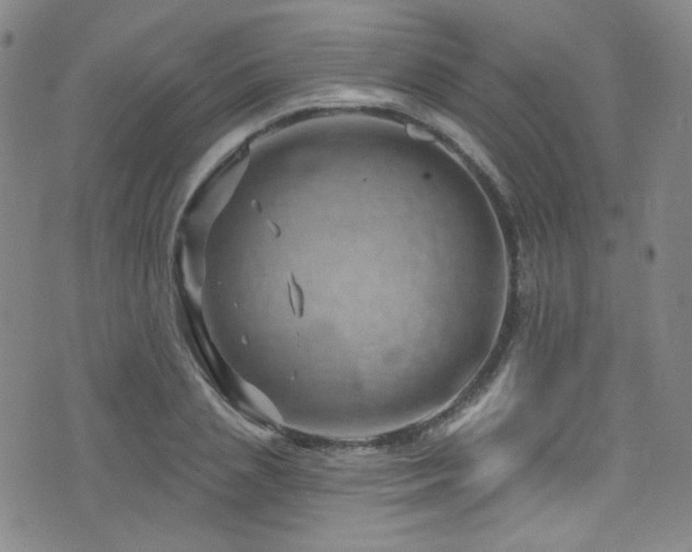 X0000075900837200609151409