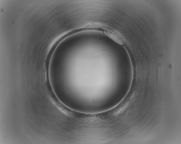 X0000075900838200609151409