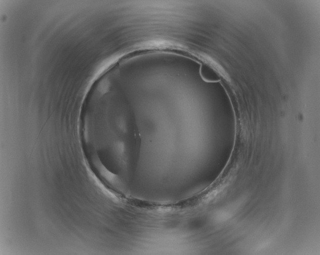 X0000075900839200609151409